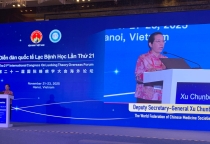 Mài giũa hai viên ngọc quý y học cổ truyền Việt - Trung