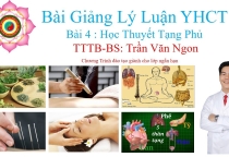 Bài Giảng Lý Luận YHCT Bài 4 Học Thuyết Tạng Phủ - Bác Sĩ Trần Văn Ngon