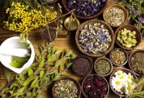 VỀ VIỆC BAN HÀNH QUY TRÌNH KỸ THUẬT Y HỌC CỔ TRUYỀN